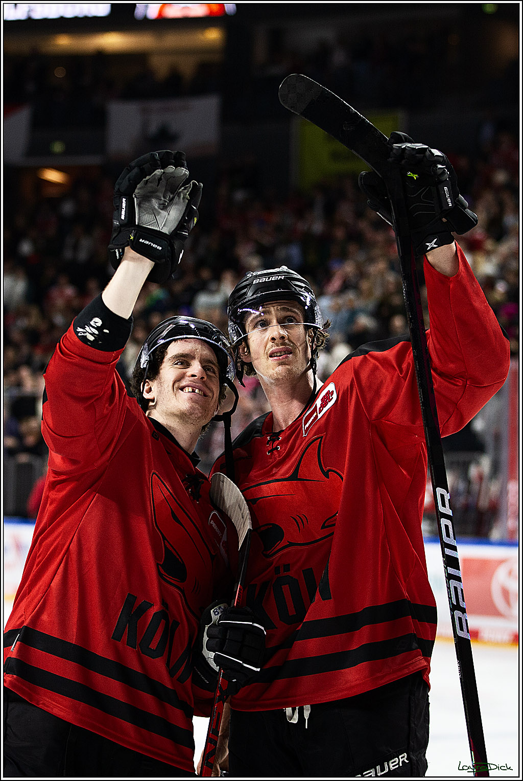 PENNY DEL; Koelner Haie- Nuernberger Ice Tigers; Koeln, 17.12.2023