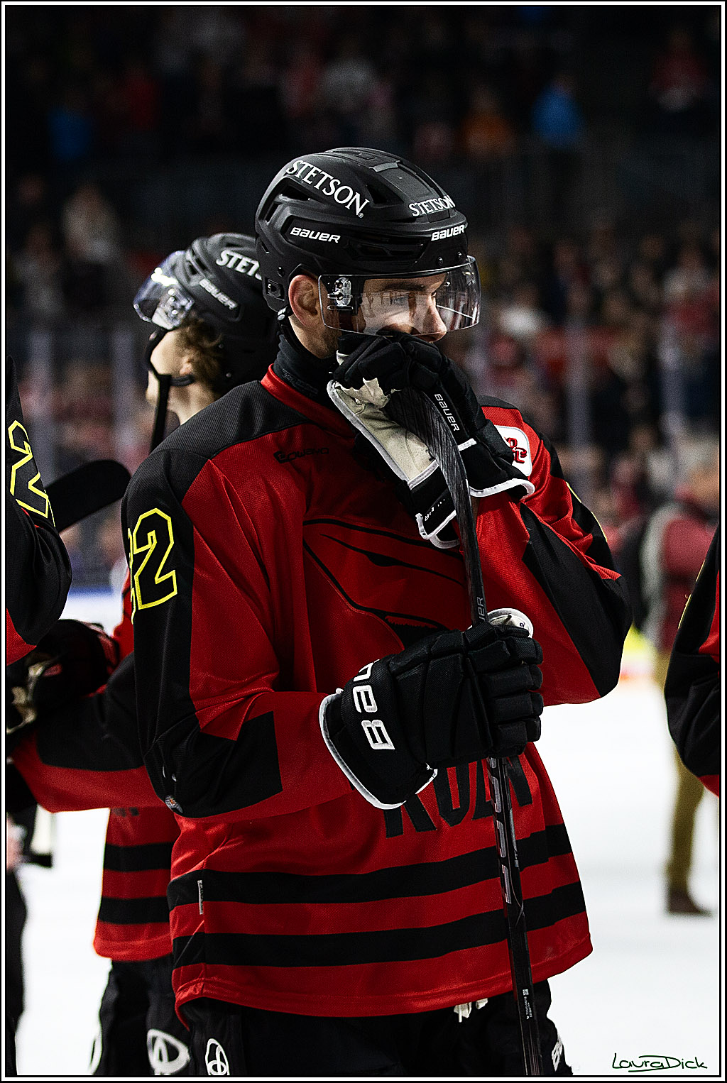 PENNY DEL; Koelner Haie- Nuernberger Ice Tigers; Koeln, 17.12.2023