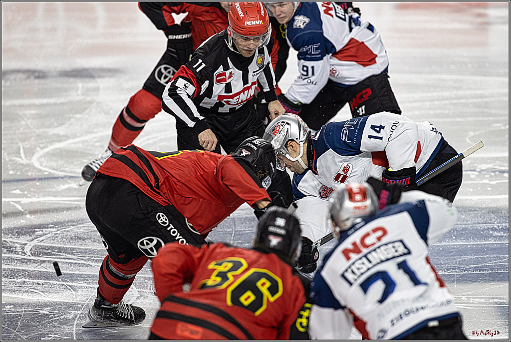PENNY DEL 1. Koelner Haie - Nürnberg Ice Tigers; Koeln, 17.12.2023