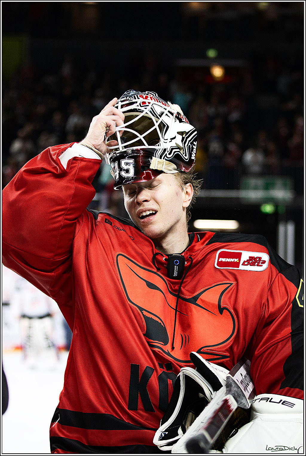 PENNY DEL; Koelner Haie- Nuernberger Ice Tigers; Koeln, 17.12.2023