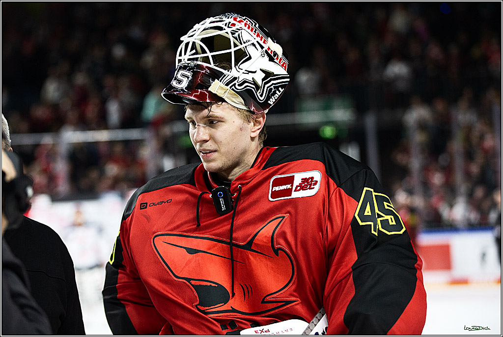 PENNY DEL; Koelner Haie- Nuernberger Ice Tigers; Koeln, 17.12.2023