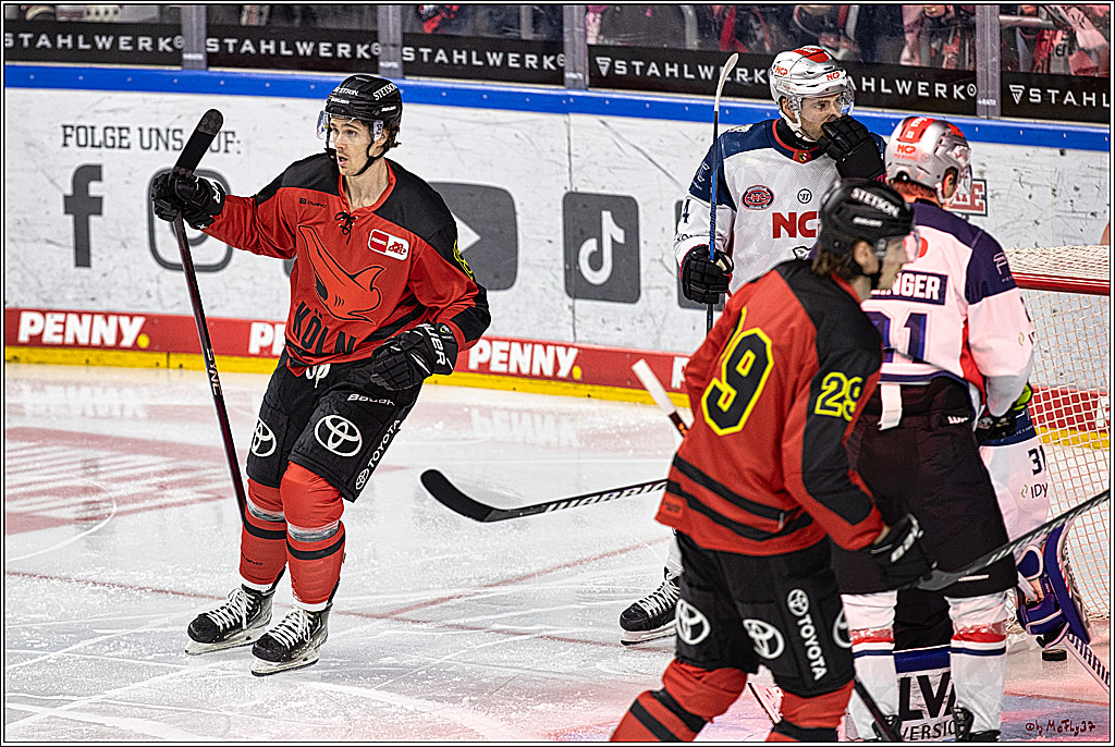 PENNY DEL 1. Koelner Haie - Nürnberg Ice Tigers; Koeln, 17.12.2023