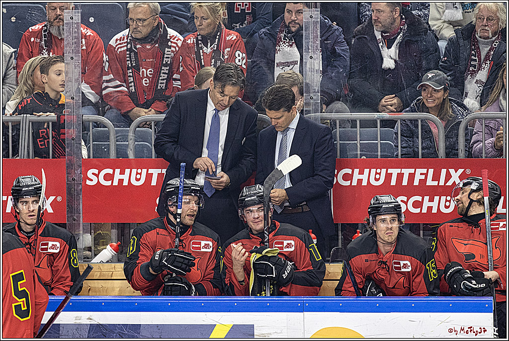 PENNY DEL 1. Koelner Haie - Nürnberg Ice Tigers; Koeln, 17.12.2023