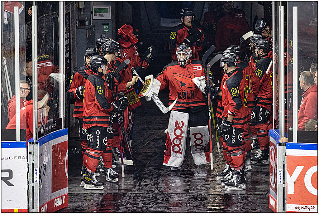 PENNY DEL 1. Koelner Haie - Nürnberg Ice Tigers; Koeln, 17.12.2023