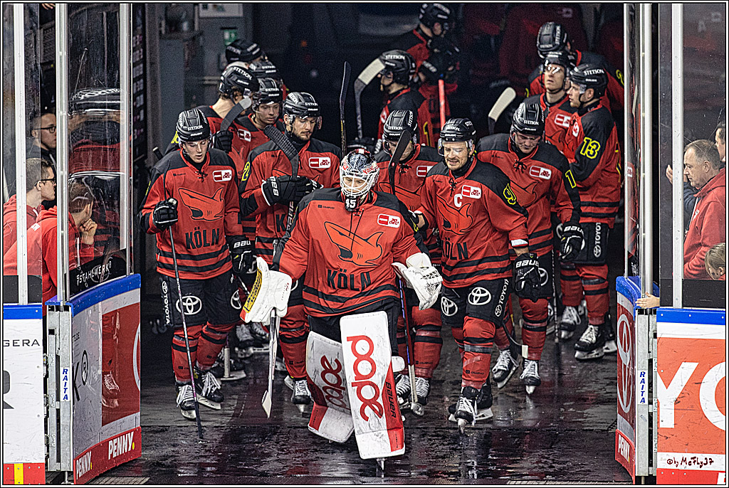 PENNY DEL 1. Koelner Haie - Nürnberg Ice Tigers; Koeln, 17.12.2023