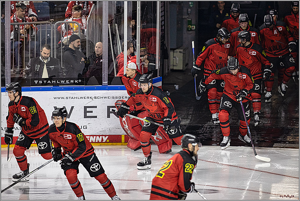 PENNY DEL 1. Koelner Haie - Nürnberg Ice Tigers; Koeln, 17.12.2023