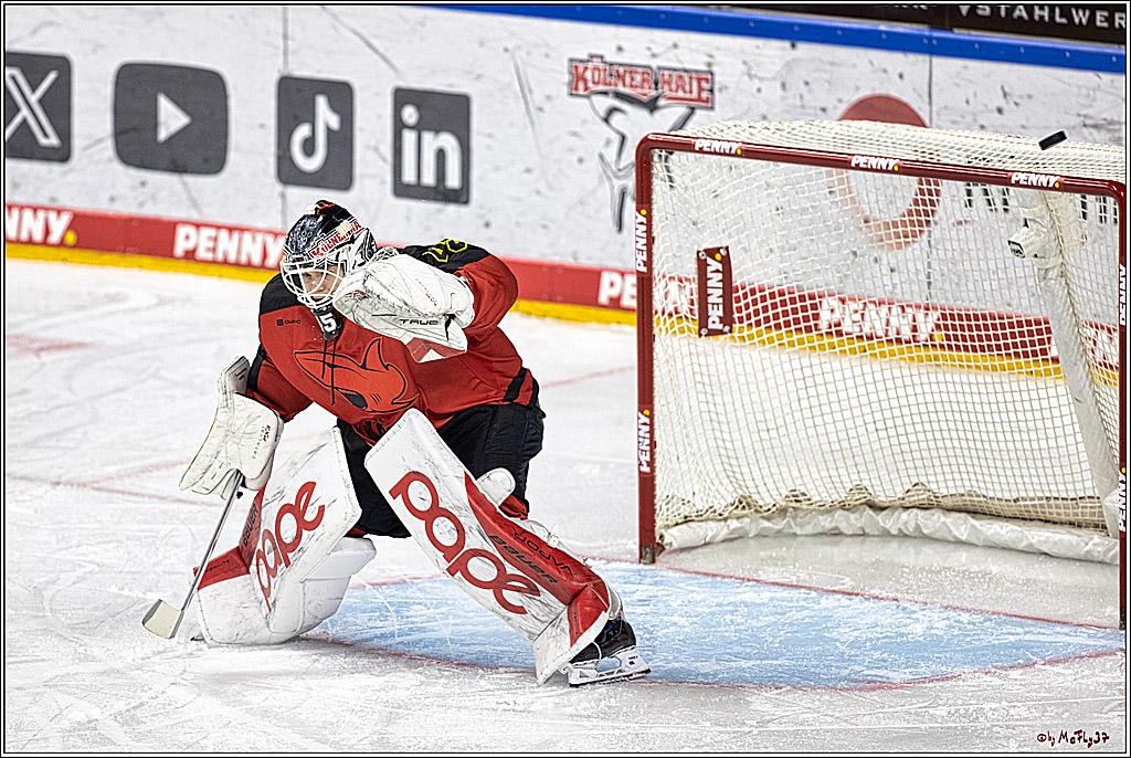 PENNY DEL 1. Koelner Haie - Nürnberg Ice Tigers; Koeln, 17.12.2023