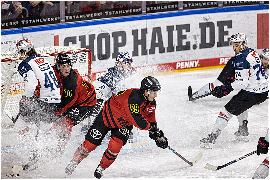 PENNY DEL 1. Koelner Haie - Nürnberg Ice Tigers; Koeln, 17.12.2023