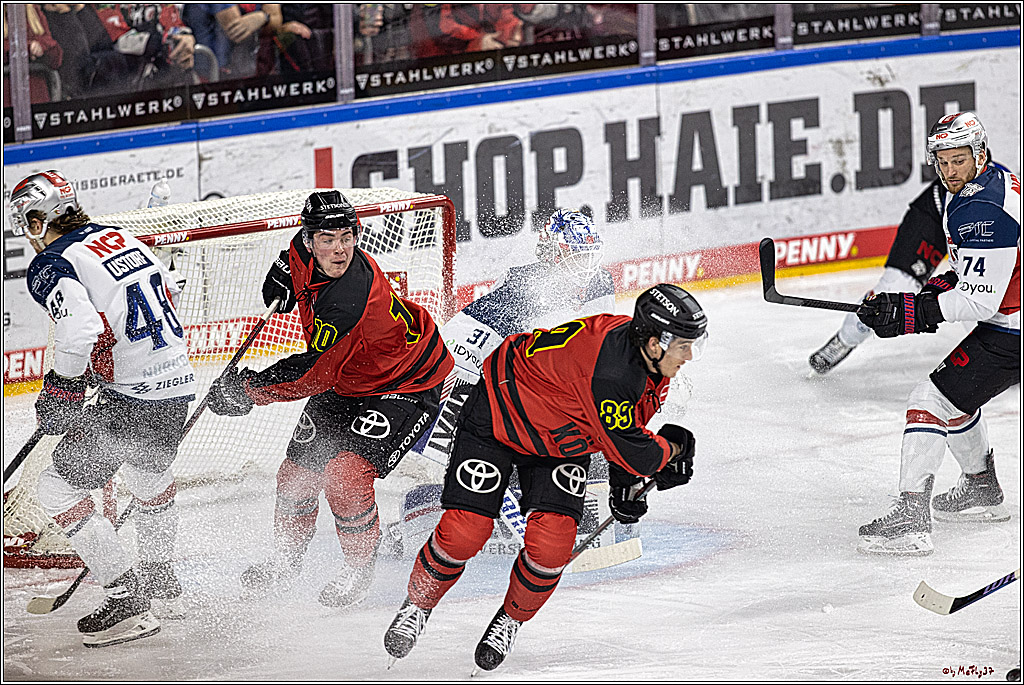 PENNY DEL 1. Koelner Haie - Nürnberg Ice Tigers; Koeln, 17.12.2023