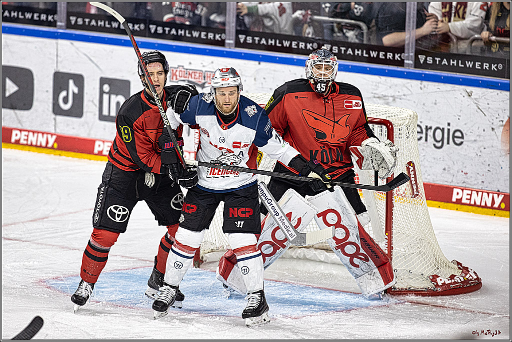 PENNY DEL 1. Koelner Haie - Nürnberg Ice Tigers; Koeln, 17.12.2023