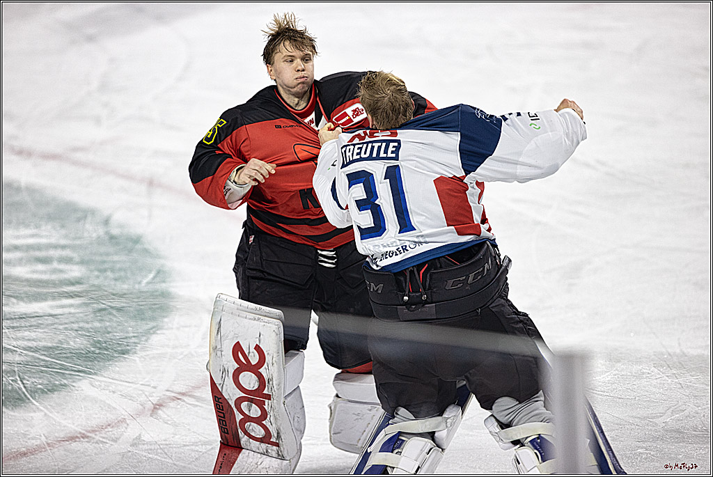 PENNY DEL 1. Koelner Haie - Nürnberg Ice Tigers; Koeln, 17.12.2023