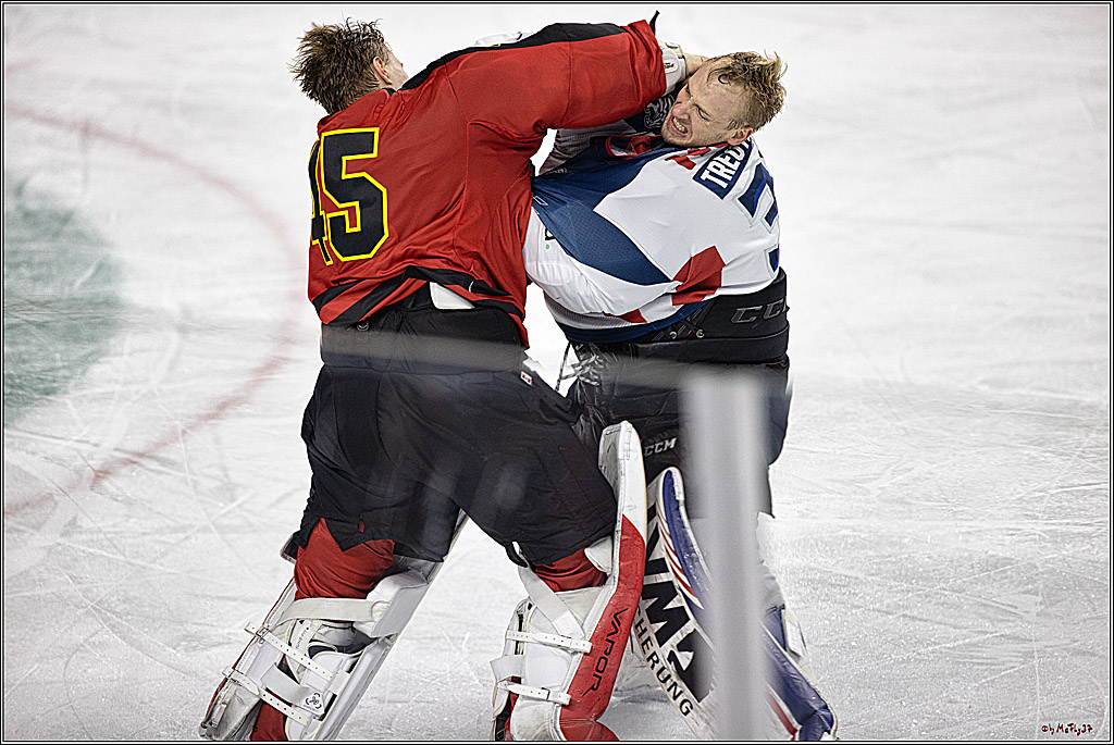 PENNY DEL 1. Koelner Haie - Nürnberg Ice Tigers; Koeln, 17.12.2023