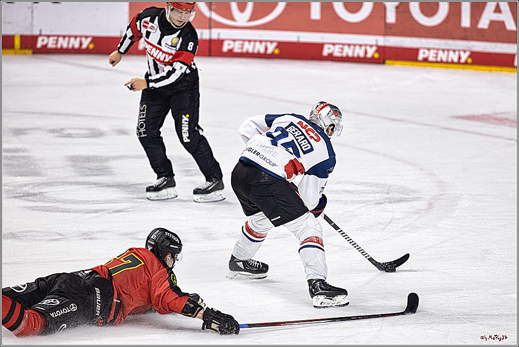 PENNY DEL 1. Koelner Haie - Nürnberg Ice Tigers; Koeln, 17.12.2023