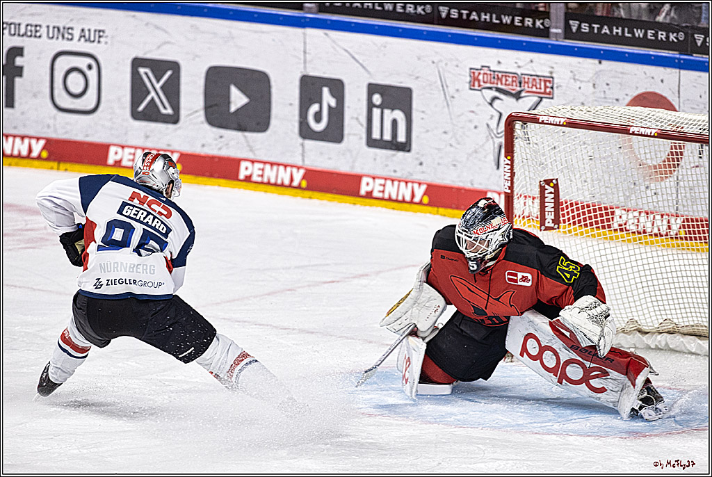 PENNY DEL 1. Koelner Haie - Nürnberg Ice Tigers; Koeln, 17.12.2023