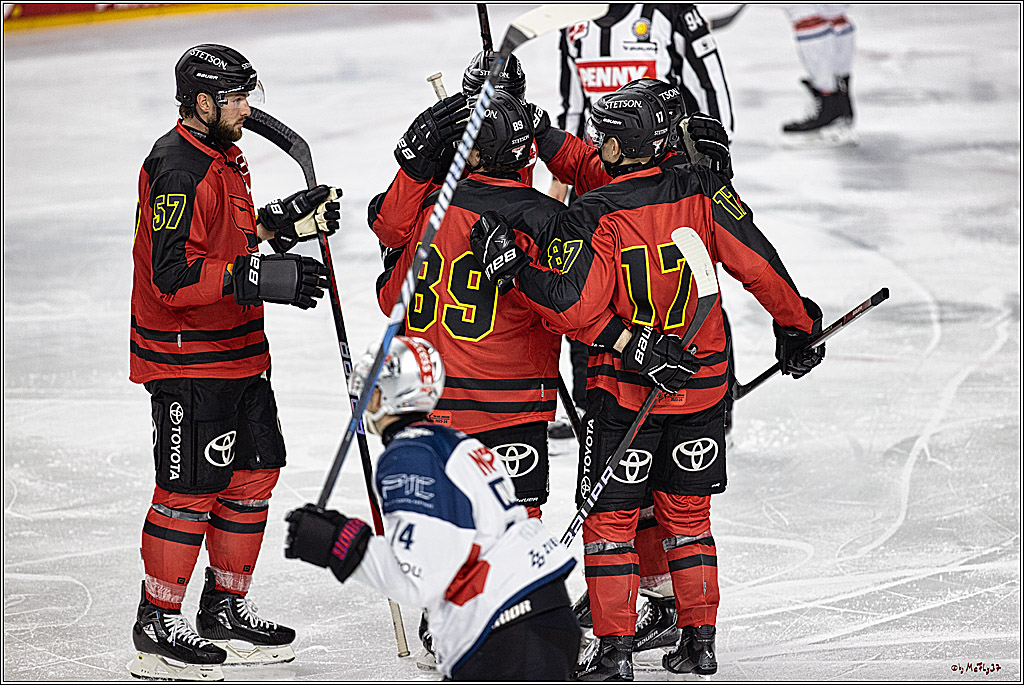 PENNY DEL 1. Koelner Haie - Nürnberg Ice Tigers; Koeln, 17.12.2023