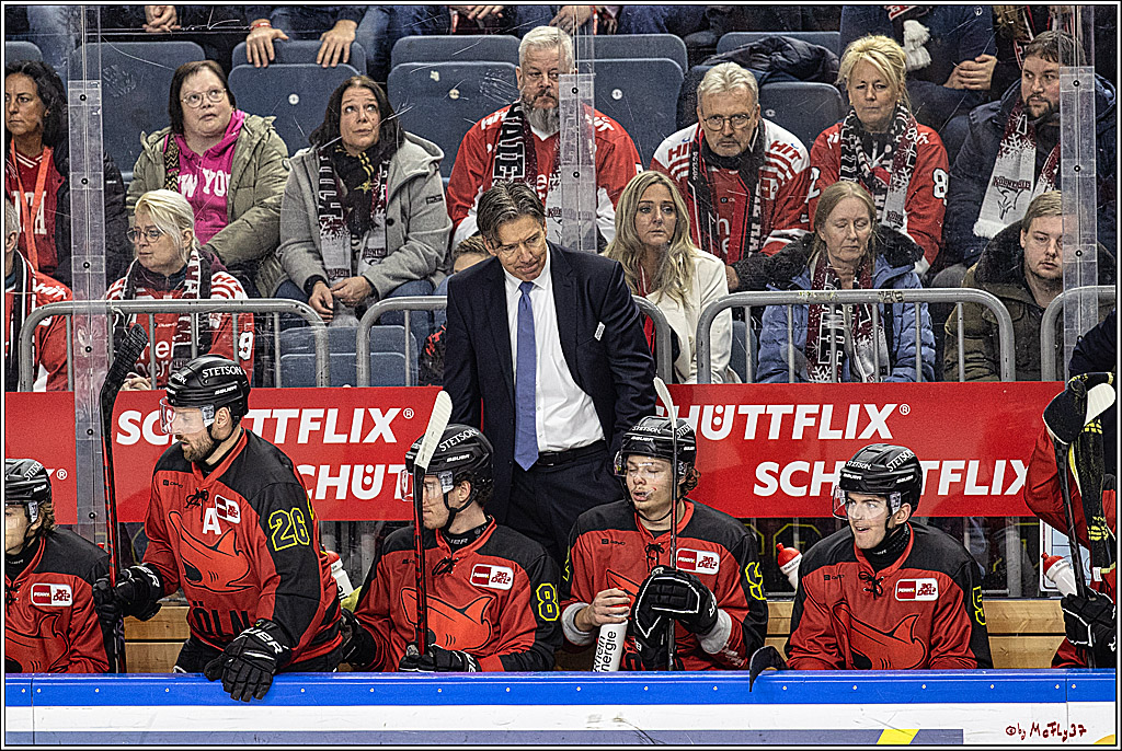 PENNY DEL 1. Koelner Haie - Nürnberg Ice Tigers; Koeln, 17.12.2023