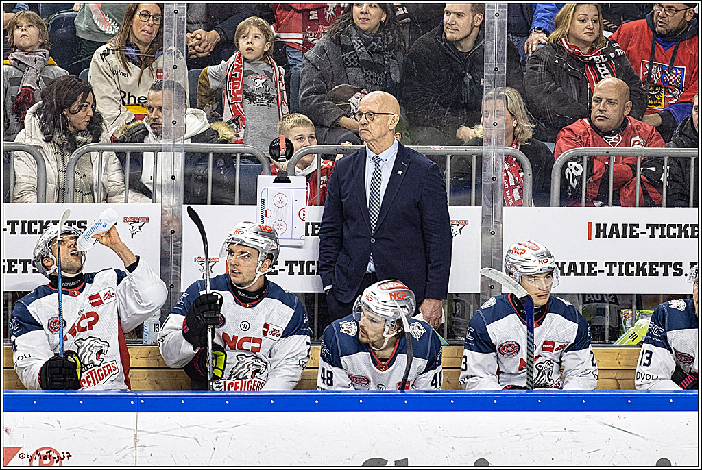 PENNY DEL 1. Koelner Haie - Nürnberg Ice Tigers; Koeln, 17.12.2023