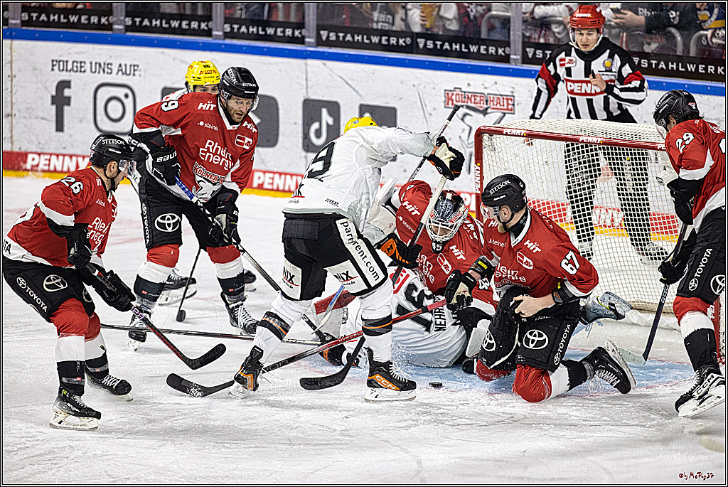 PENNY DEL 1. Kölner Haie - Löwen Frankfurt; Köln, 26.12.2023