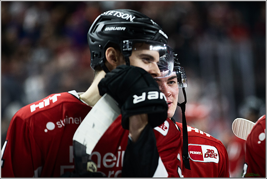 PENNY DEL; Koelner Haie- Duesseldorfer EG; Koeln, 28.12.2023