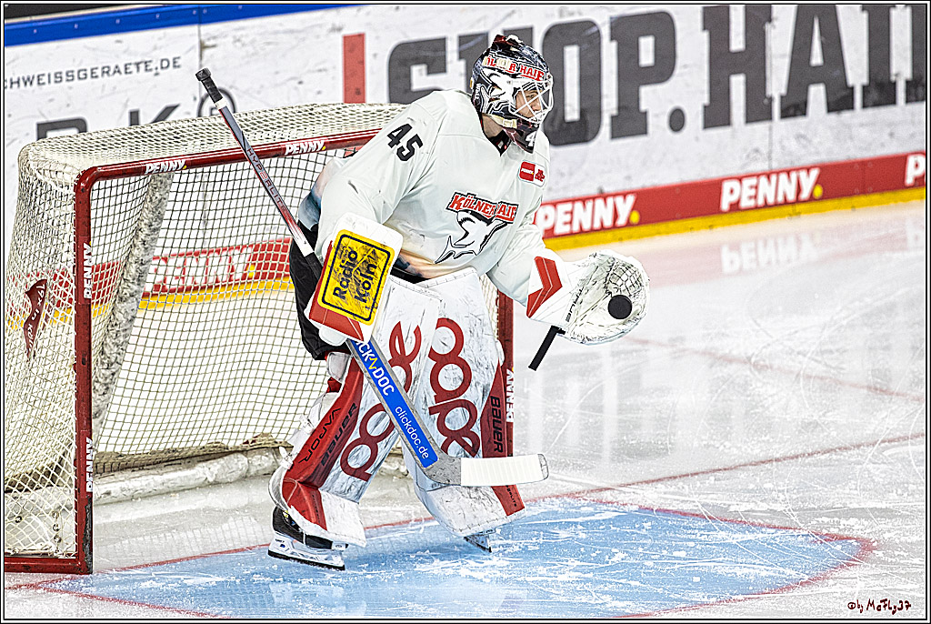 PENNY DEL 1. Kölner Haie -Düsseldorfer EG ; Köln, 28.12.2023