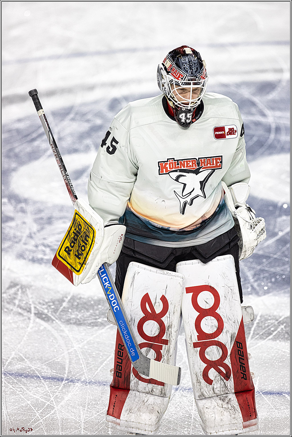 PENNY DEL 1. Kölner Haie -Düsseldorfer EG ; Köln, 28.12.2023