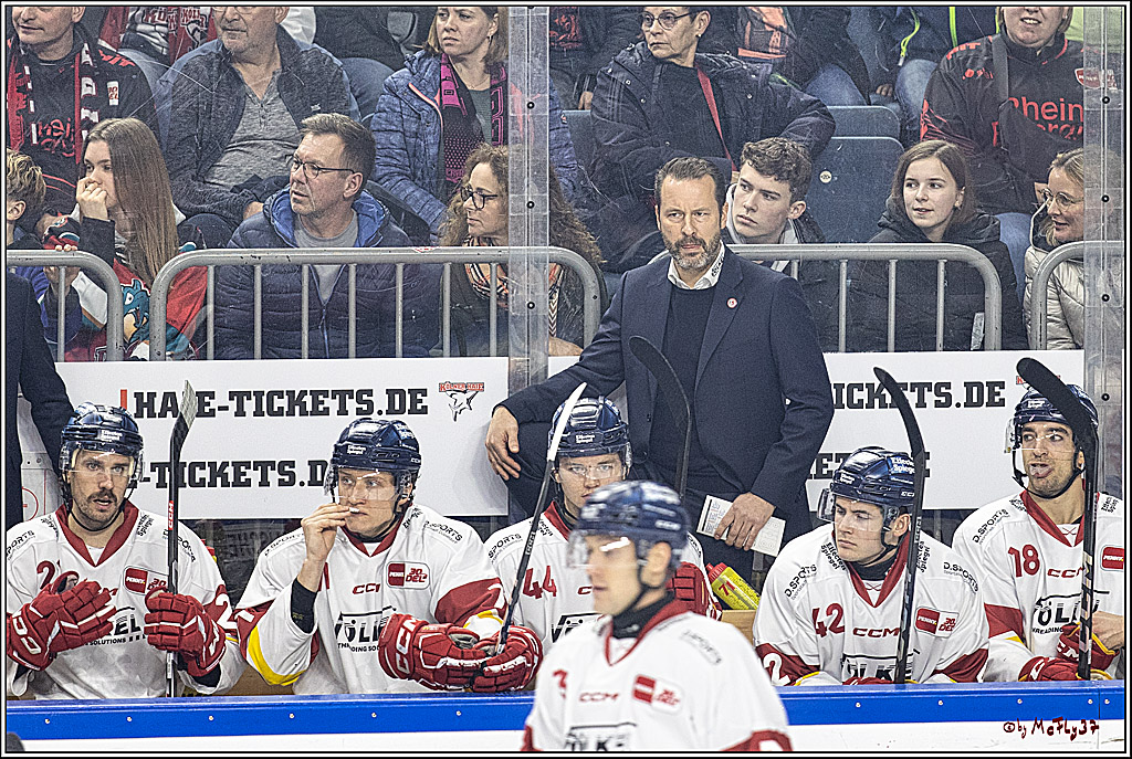 PENNY DEL 1. Kölner Haie -Düsseldorfer EG ; Köln, 28.12.2023