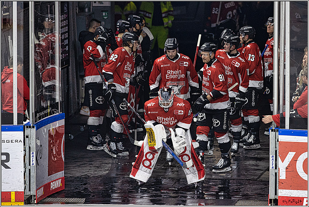 PENNY DEL 1. Kölner Haie -Düsseldorfer EG ; Köln, 28.12.2023