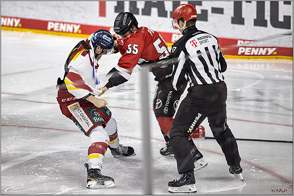 PENNY DEL 1. Kölner Haie -Düsseldorfer EG ; Köln, 28.12.2023