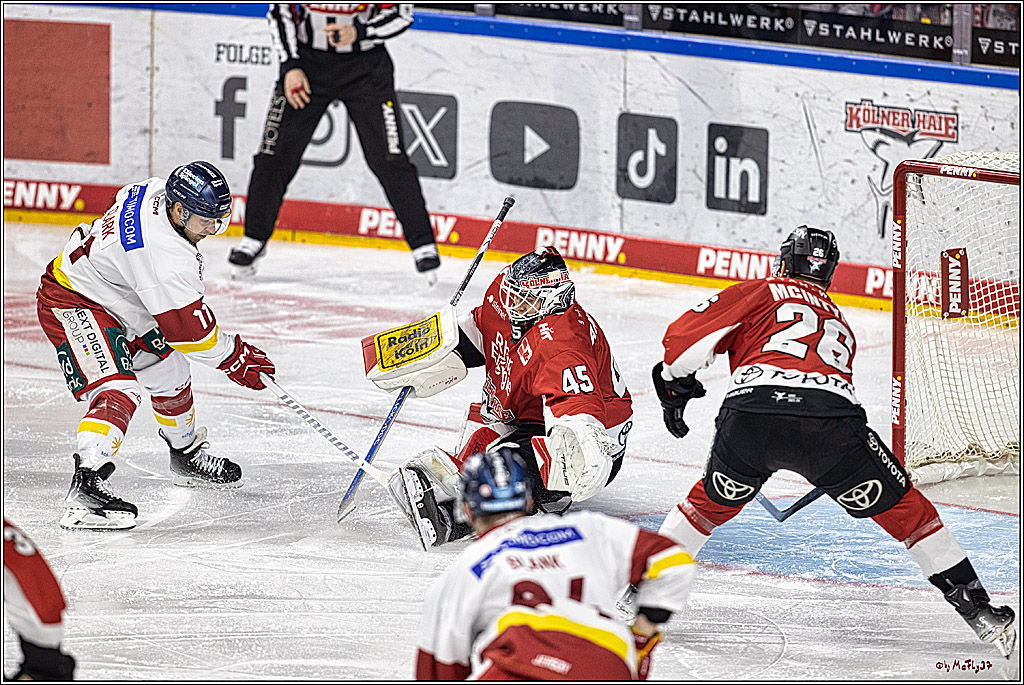 PENNY DEL 1. Kölner Haie -Düsseldorfer EG ; Köln, 28.12.2023