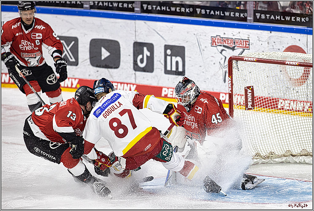 PENNY DEL 1. Kölner Haie -Düsseldorfer EG ; Köln, 28.12.2023