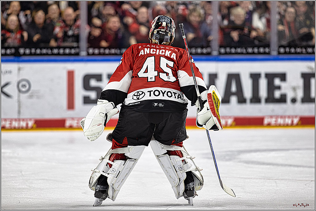 PENNY DEL 1. Kölner Haie -Düsseldorfer EG ; Köln, 28.12.2023