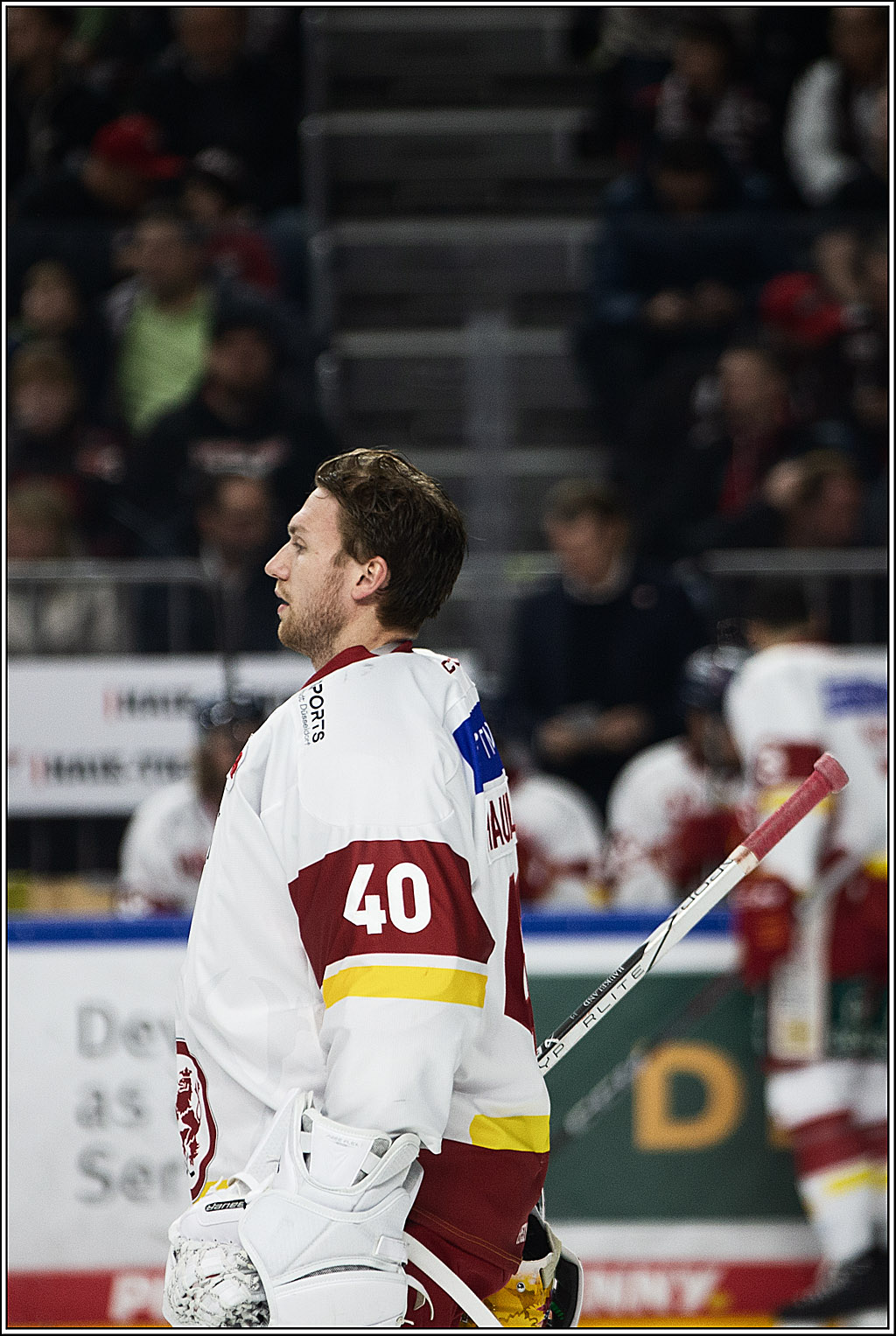 PENNY DEL; Koelner Haie- Duesseldorfer EG; Koeln, 28.12.2023
