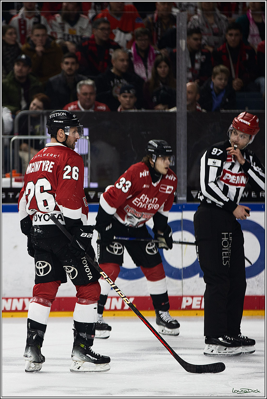 PENNY DEL; Koelner Haie- Duesseldorfer EG; Koeln, 28.12.2023