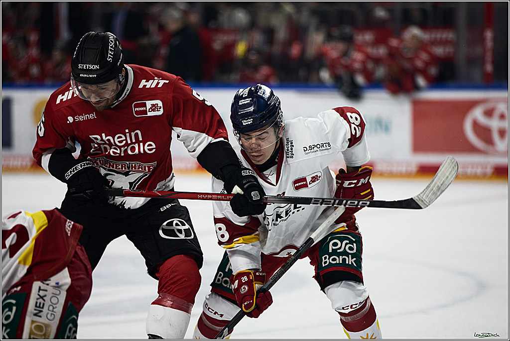 PENNY DEL; Koelner Haie- Duesseldorfer EG; Koeln, 28.12.2023