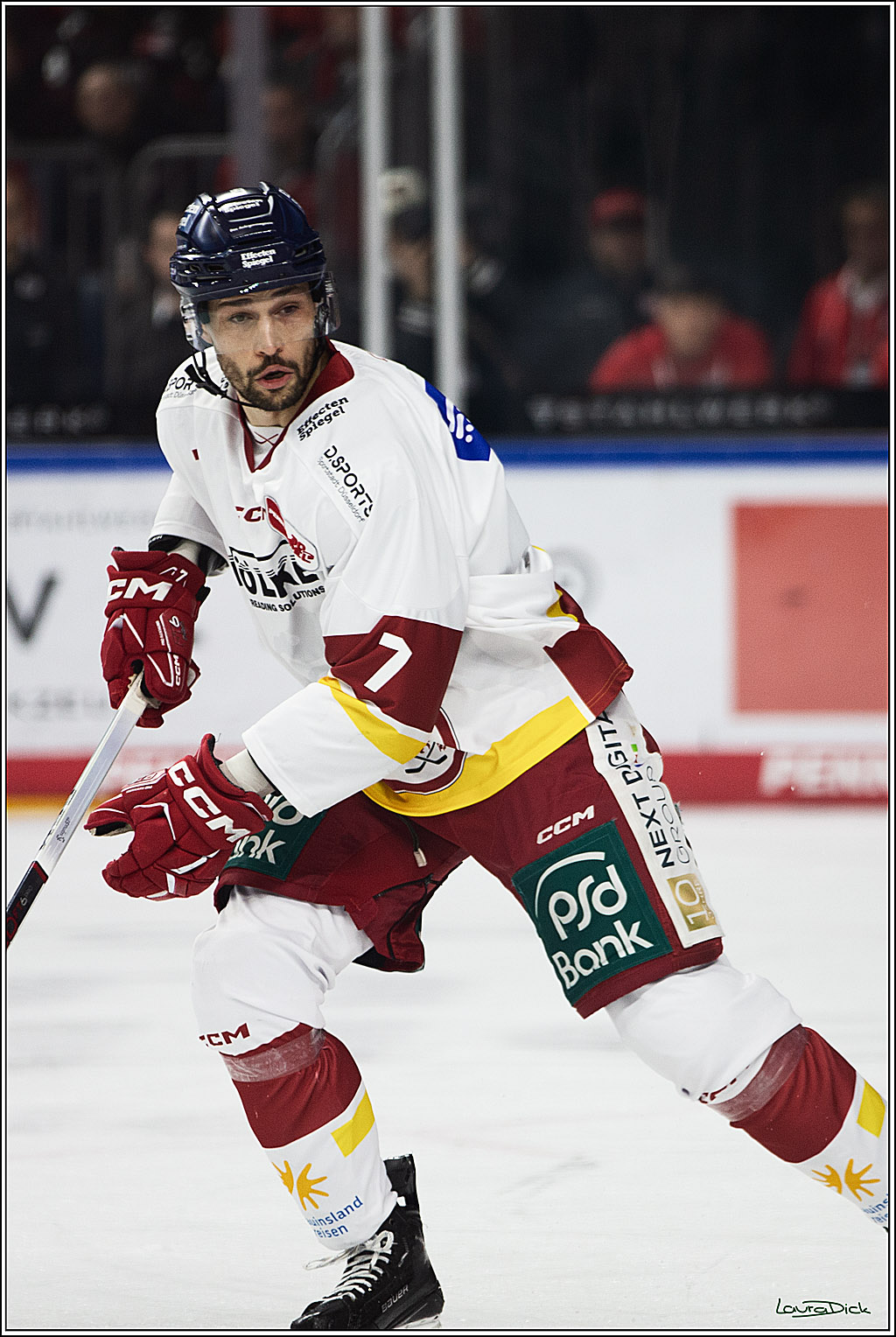 PENNY DEL; Koelner Haie- Duesseldorfer EG; Koeln, 28.12.2023