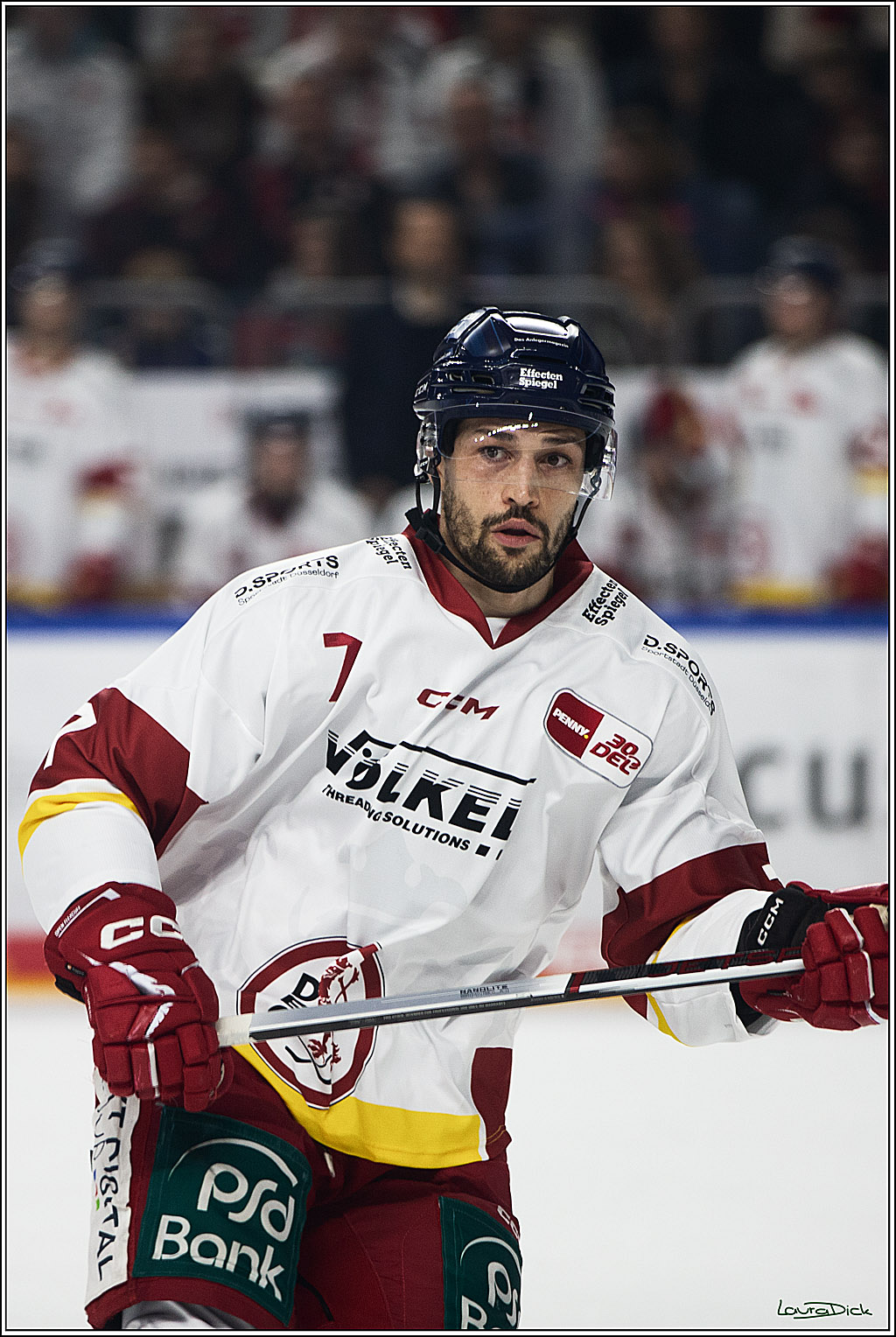 PENNY DEL; Koelner Haie- Duesseldorfer EG; Koeln, 28.12.2023