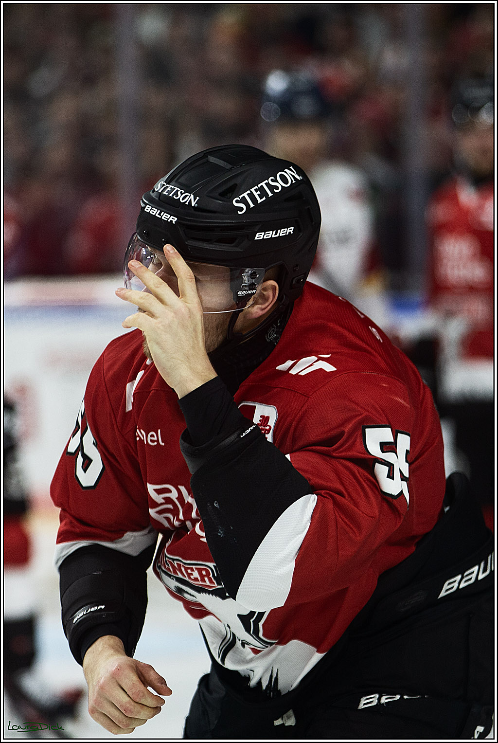PENNY DEL; Koelner Haie- Duesseldorfer EG; Koeln, 28.12.2023