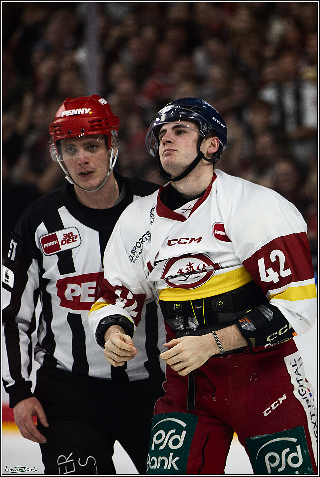 PENNY DEL; Koelner Haie- Duesseldorfer EG; Koeln, 28.12.2023