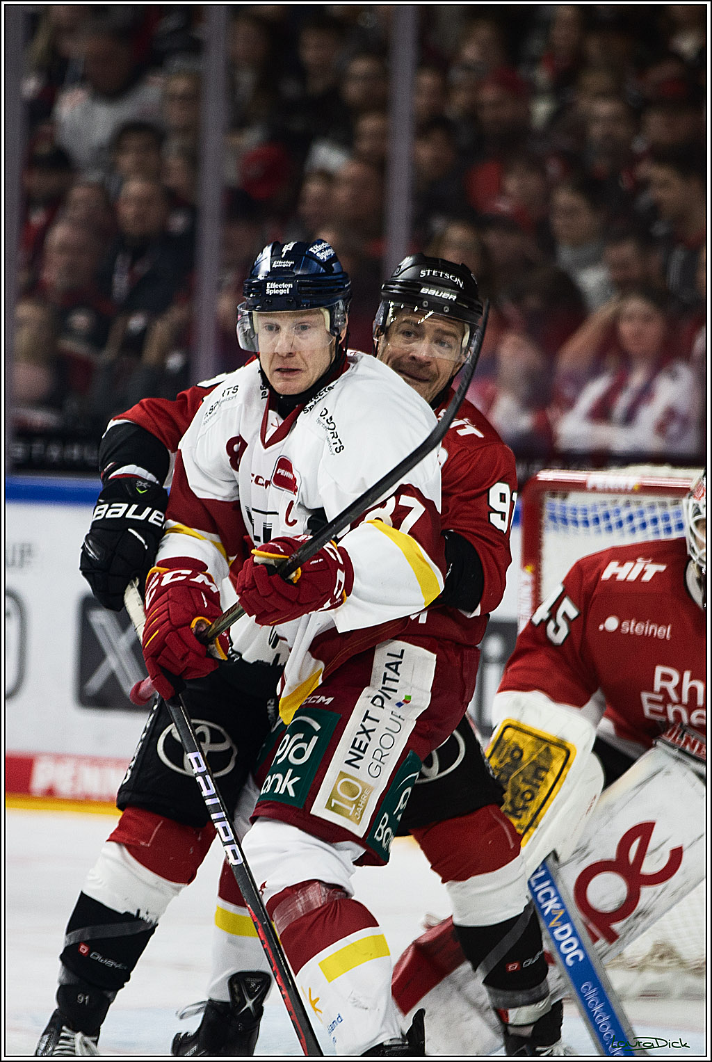 PENNY DEL; Koelner Haie- Duesseldorfer EG; Koeln, 28.12.2023