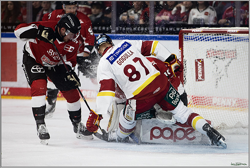 PENNY DEL; Koelner Haie- Duesseldorfer EG; Koeln, 28.12.2023