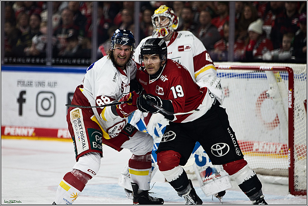 PENNY DEL; Koelner Haie- Duesseldorfer EG; Koeln, 28.12.2023