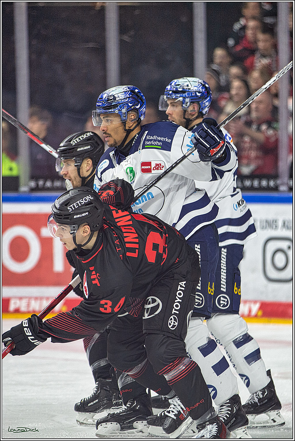 PENNY DEL; Koelner Haie- Iserlohn Roosters; Koeln, 02.01.2024