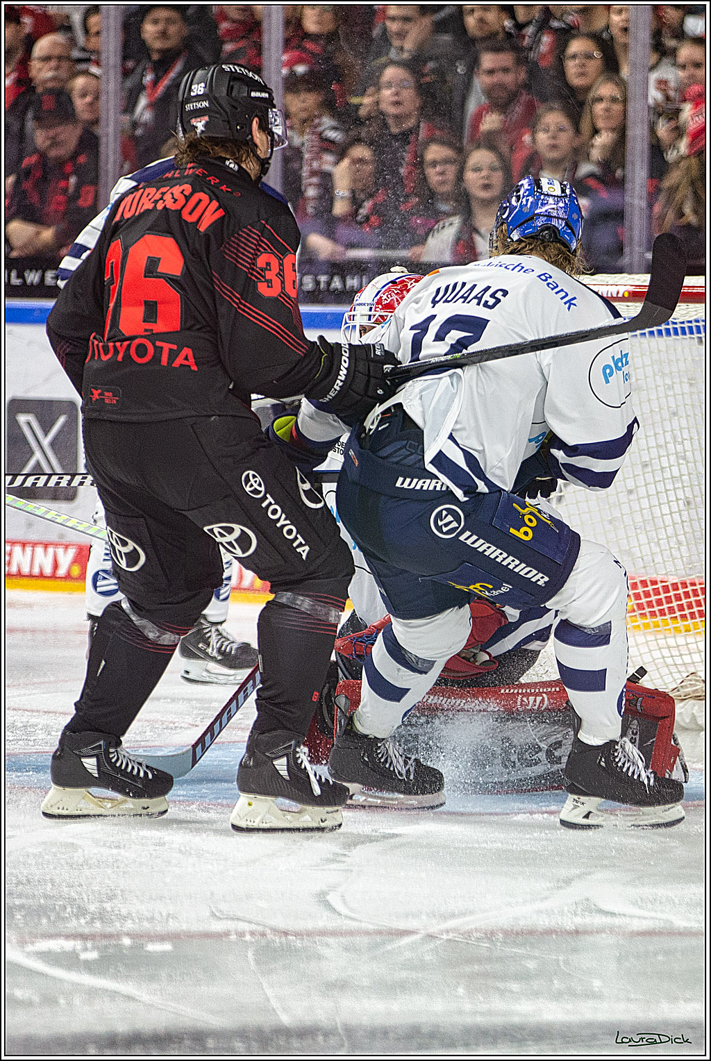 PENNY DEL; Koelner Haie- Iserlohn Roosters; Koeln, 02.01.2024