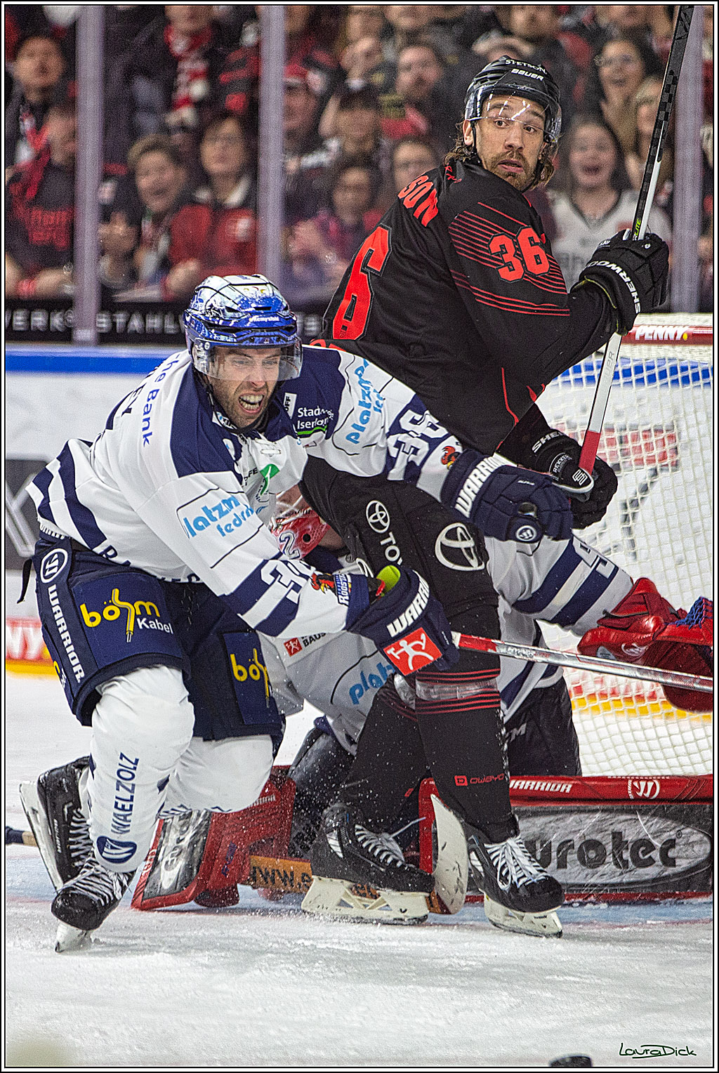 PENNY DEL; Koelner Haie- Iserlohn Roosters; Koeln, 02.01.2024