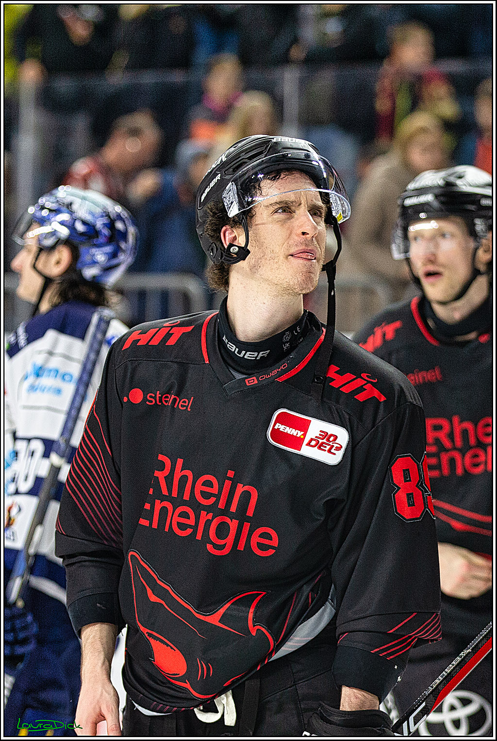 PENNY DEL; Koelner Haie- Iserlohn Roosters; Koeln, 02.01.2024