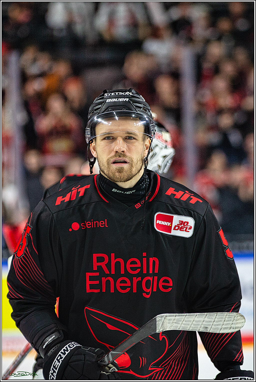 PENNY DEL; Koelner Haie- Iserlohn Roosters; Koeln, 02.01.2024