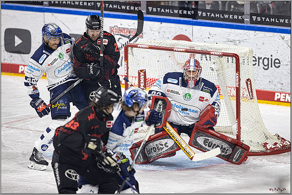 PENNY DEL 1: Kölner Haie -Iserlohn Roosters; Köln, 02.01.2024