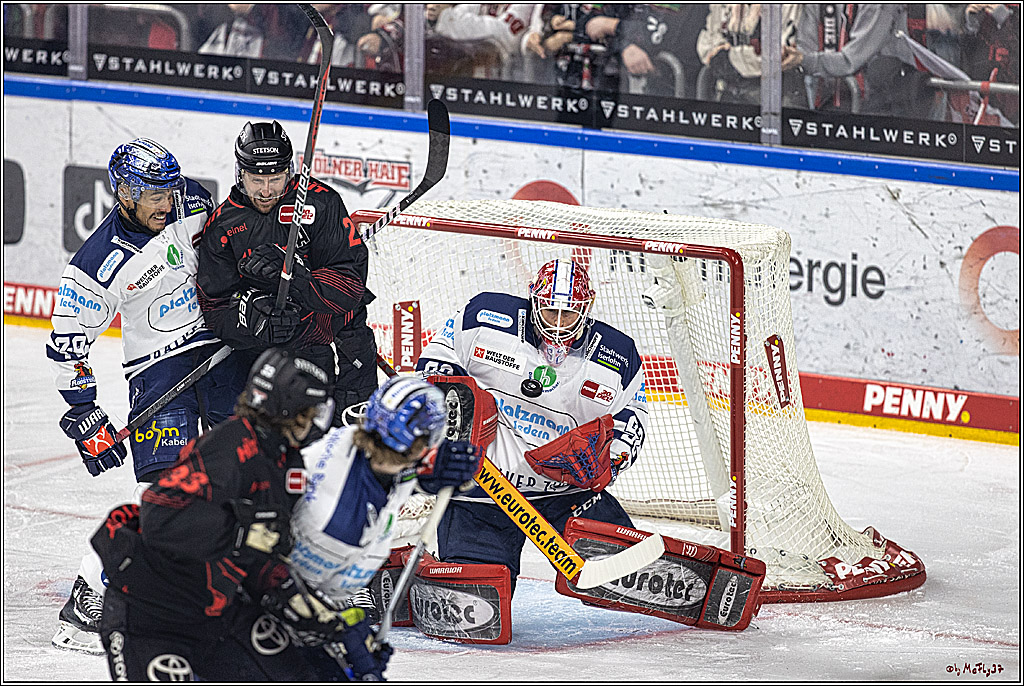 PENNY DEL 1: Kölner Haie -Iserlohn Roosters; Köln, 02.01.2024