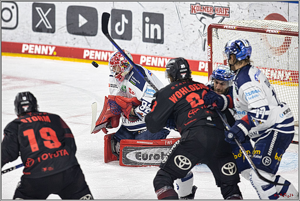 PENNY DEL 1: Kölner Haie -Iserlohn Roosters; Köln, 02.01.2024