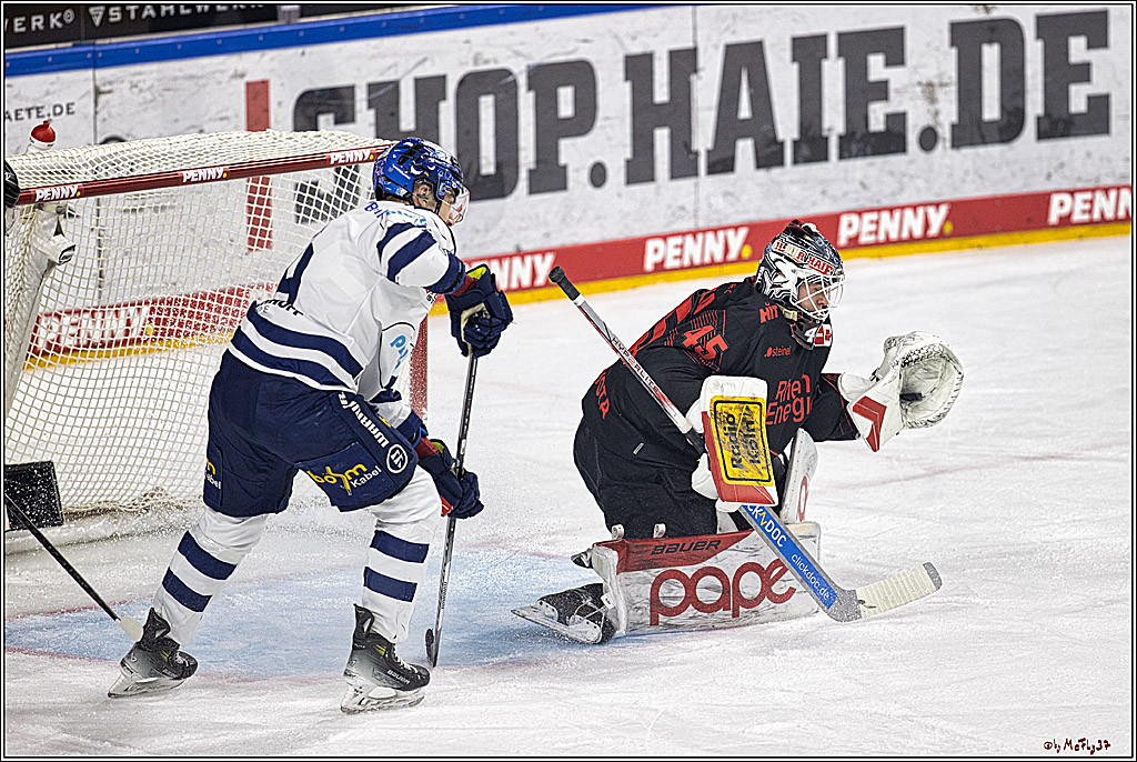 PENNY DEL 1: Kölner Haie -Iserlohn Roosters; Köln, 02.01.2024